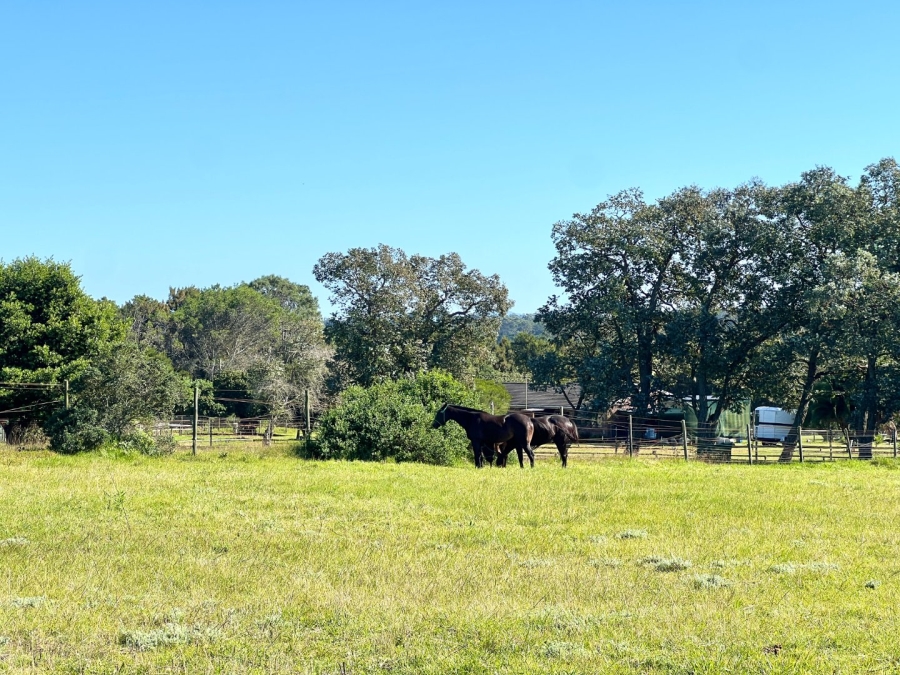 3 Bedroom Property for Sale in Chelsea Eastern Cape